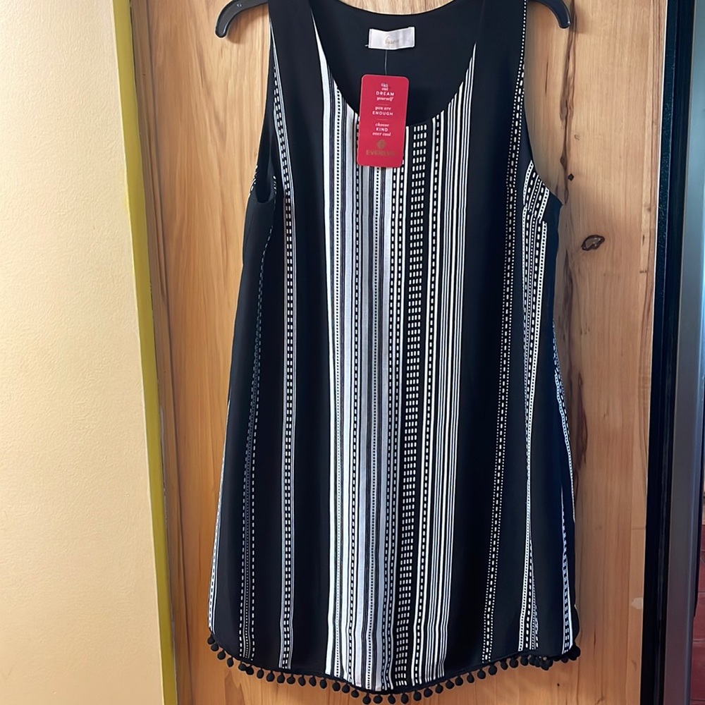 Evereve- Braeve Isla Striped Pom Dress‎